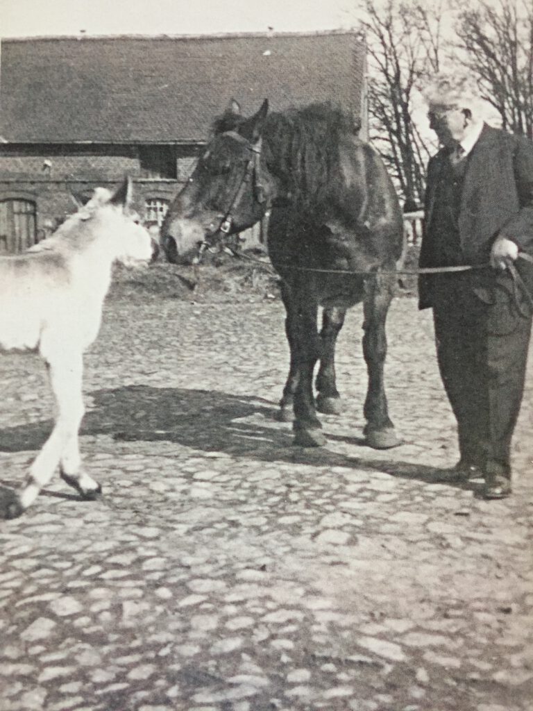 Adolf Löbenberg mit Pferden auf seiner Farm